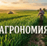 Обучение по направлению "Агрономия": КузбассГАУ им. В.Н.Полецкова предоставляет 2 целевых места (магистратура) - Министерство сельского хозяйства