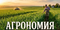 Обучение по направлению "Агрономия": КузбассГАУ им. В.Н.Полецкова предоставляет 2 целевых места (магистратура) - Министерство сельского хозяйства