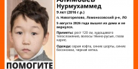 В Ленинградской области ищут 9-летнего мальчика - Петербургский дневник