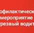 В Мичуринске три дня будут ловить нетрезвых водителей - Michurinsk68.Ru