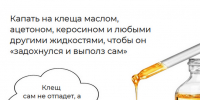 Здравоохранение - Riac34.Ru