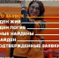 За июль в Петербурге и Ленобласти пропали 447 человек - Online47.Ru