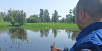 photo - ОМЕДИА!
