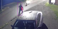 Медведь пытался напасть на мужчину: читатели присылают видео встреч с диким зверем - ИА Запад24