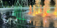 Фото: ГоБалаково - GoBalakovo.Ru