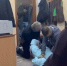 ФСБ раскрыла в Калужской области фиктивную регистрацию абонентских номеров - Телерадиокомпания Ника