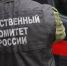 Следователи начали проверку после нападения на девочку на Сахалине - КП Владивосток