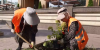 Комплексное преображение зеленых зон - Махачкалинские известия