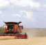 В Тамбовской области намолотили миллион тонн зерновых - Тамбовская жизнь