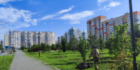В Барнауле продолжается покос травы на общественных территориях - Администрация г. Барнаул