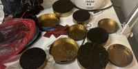 Петербуржец пойдет под суд за незаконный оборот черной икры - Петербургский дневник