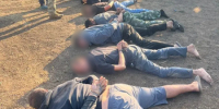 Делали набеги на окрестности Волгодонска, похищены десятки голов скота: начинается суд над этнической бандой ночных скотокрадов - Bloknot-Volgodonsk.Ru