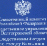 В Камышине сын убил престарелую мать - Инфокам