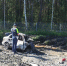 Пять человек заживо сгорели в машине на трассе - Gubdaily.Ru