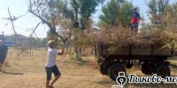 В Урало-Ахтубинском поселении справились с последствиями урагана - Быково-медиа