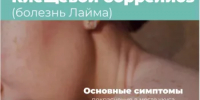 Клещевой боррелиоз. Профилактика — лучшая  защита от укусов клещей - Бурзянский район