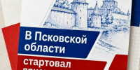 Жители Псковской области могут принять участие в дистанционном электронном голосовании - Газета Великолукская правда