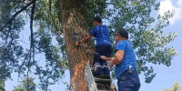 В Курске демонтировали опасные самодельные сооружения для прыжков в воду - Курская правда