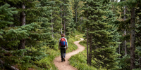 Фото: chaogeng/Shutterstock/Fotodom - Красный Север