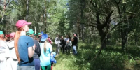 Юные экологи из Мятлево стали лучшими на международном слёте - Калужский перекрёсток
