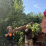Более 200 горожан убрали Бугуруслан после ливневых дождей - Комсомольская Правда