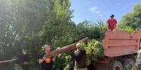 Более 200 горожан убрали Бугуруслан после ливневых дождей - Комсомольская Правда