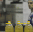 Воронежские предприятия экспортировали более 780 тыс тонн продукции за 2026 год - РИА Воронеж