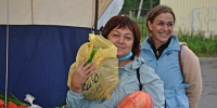 Скоро осень: пришло время дефляции - Арктик-ТВ