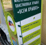 Балаковские чиновники начали собирать крышки - ProBalakovo.Ru