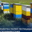 Внимание! Обработка полей! Одоевский/Щекинский район - Министерство сельского хозяйства, природных ресурсов и экологии