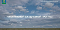 Оперативный ежедневный прогноз - Администрация г. Октябрьский