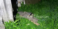 В Куйбышевском районе установлены обстоятельства смерти местного жителя. Видео - Следственный комитет