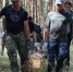 Жителей Поворинского и ближайших районов позвали на заготовку бревен для СВО - РИА Воронеж