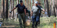 Жителей Поворинского и ближайших районов позвали на заготовку бревен для СВО - РИА Воронеж