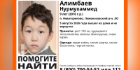 В Новогорелово третий день не могут найти пропавшего девятилетнего мальчика - ЛенТВ24