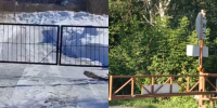 Дачная война с вилами из-за дороги: подробности кровавого конфликта в СНТ «Инские плесы» - Сиб.фм