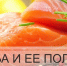 Изображение без описания. - Миасский городской округ