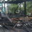 Фото: областной Следком - News29.Ru