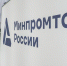 РФ не будет сокращать перечень товаров для параллельного импорта - M24.Ru