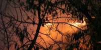 За сутки в Карелии произошло семь пожаров - StolicaOnego.Ru