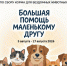 Афиша акции «Большая помощь маленькому другу» - ЦБС Автозаводского района