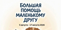 Афиша акции «Большая помощь маленькому другу» - ЦБС Автозаводского района