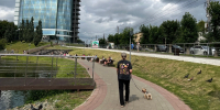 Метеорологи предрекли глобальную катастрофу из-за Эль-Ниньо - ProGorod.Ru