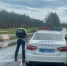 Фото: Госавтоинспекция Свердловской области - АПИ