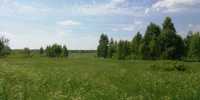 В Смоленской области собственники земельных участков оштрафованы за неисполнение предписаний Россельхознадзора - Россельхознадзор