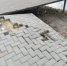 плитка отлетает - ИА Малая Родина