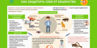 Профилактика бешенства - Городской округ Красногорск