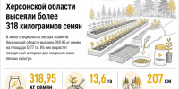 Почти 319 кг семян высеяли в лесных питомниках Херсонской области - Представительство Херсонской области в Республике Крым