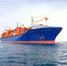 commercial container ship - ИА Общественная служба новостей