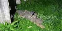 В Калужской области мужчина умер от удара лавкой по голове - Kaluga-Poisk.Ru